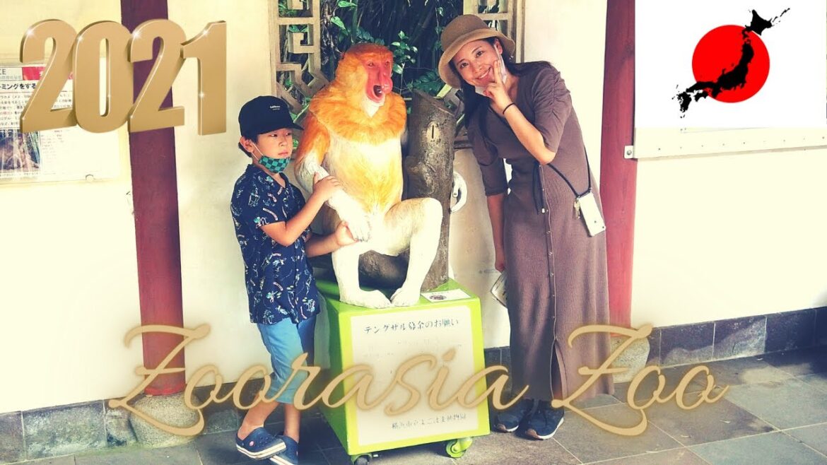 Discovering the Wonders of Zoorasia Zoo: A Yokohama Travel Vlog in Japan 2021 π―π΅ Discovering the Wonders of Zoorasia Zoo: A Yokohama Travel Vlog in Japan 2021 π―π΅