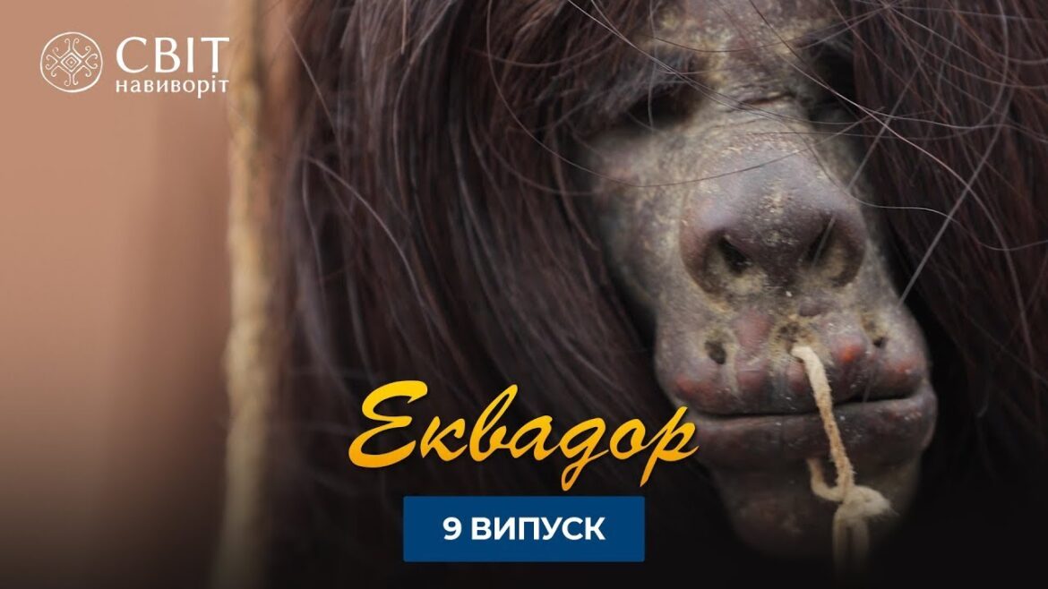 Древние традиции охотников за головами. Мир Наизнанку 13 сезон 9 серия. Эквадор. Древние традиции охотников за головами. Мир Наизнанку 13 сезон 9 серия. Эквадор.