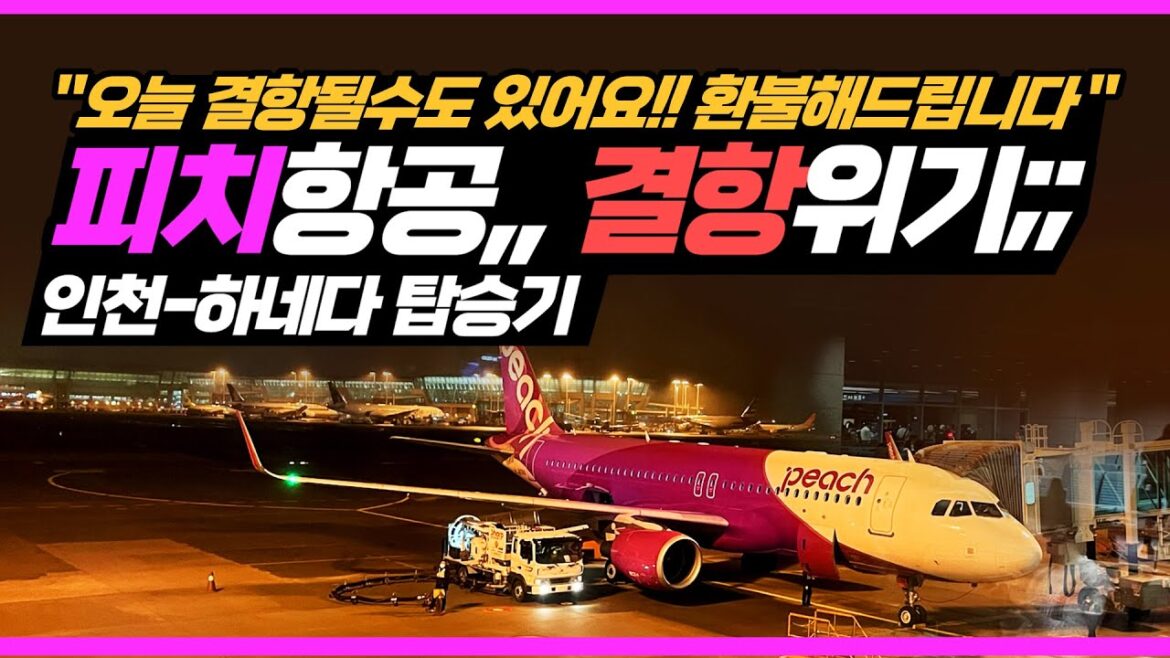 피치항공 결항위기 !! 난감한 피치항공 인천-하네다 탑승기, MM808 인천에서 도쿄 하네다까지 후기 l 환불과 환불중에 고르세요 l 천재지변 결항 l A320-200