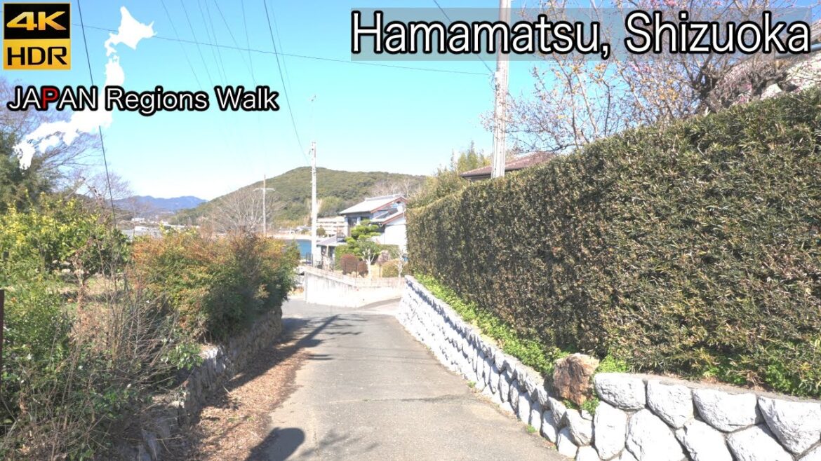 Tsuzuki Station South Side | Hamamatsu, Shizuoka | 4K HDR | 静岡県浜松市