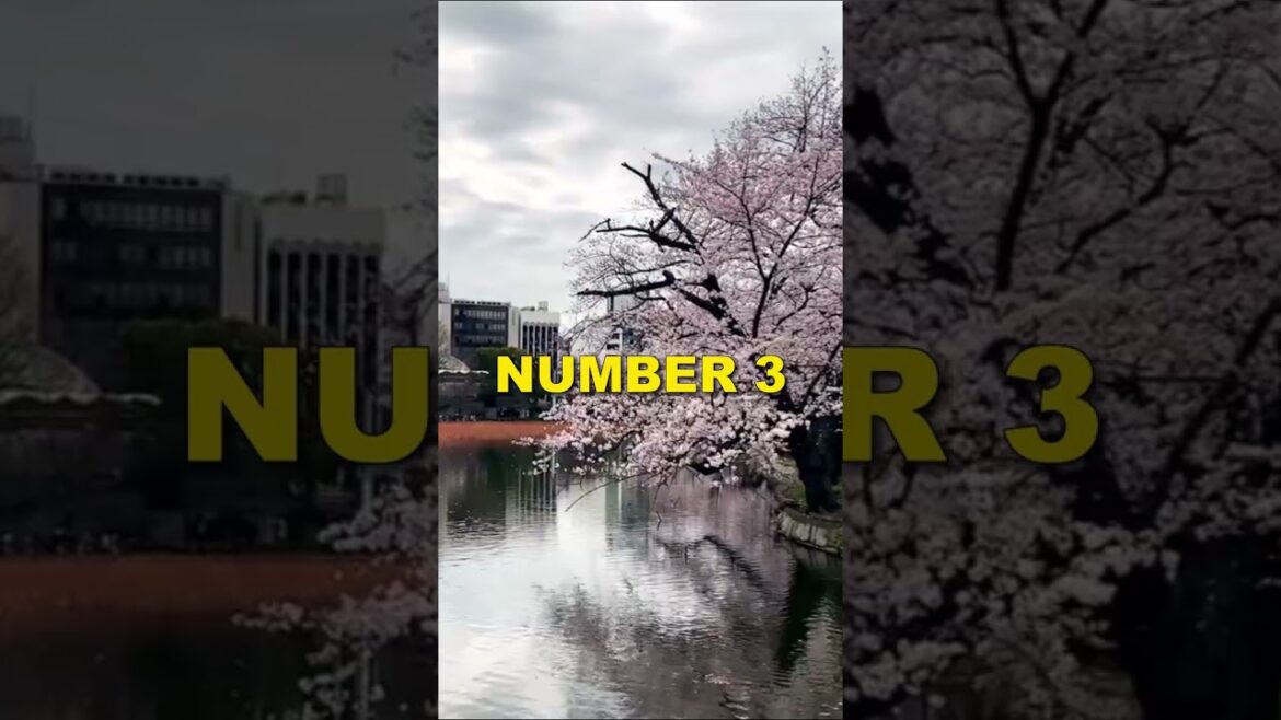 5 Quick Facts About Tokyo, Japan