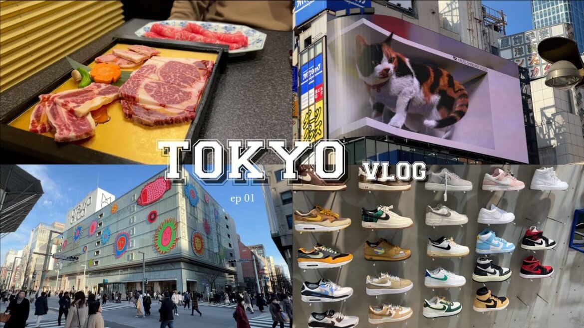 A Tokyo Vlog π | Ep 1: Lunar New Year in Japan, Yakiniku, Ginza and more A Tokyo Vlog π | Ep 1: Lunar New Year in Japan, Yakiniku, Ginza and more