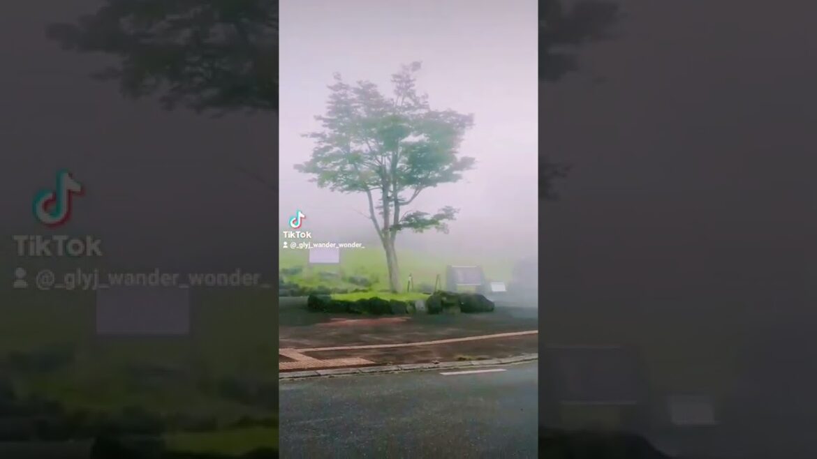 Mt.Fuji Children's World 🇯🇵 #worldtourist #travel  #travelvlog #japanvlog #viral #kidtripadvisor