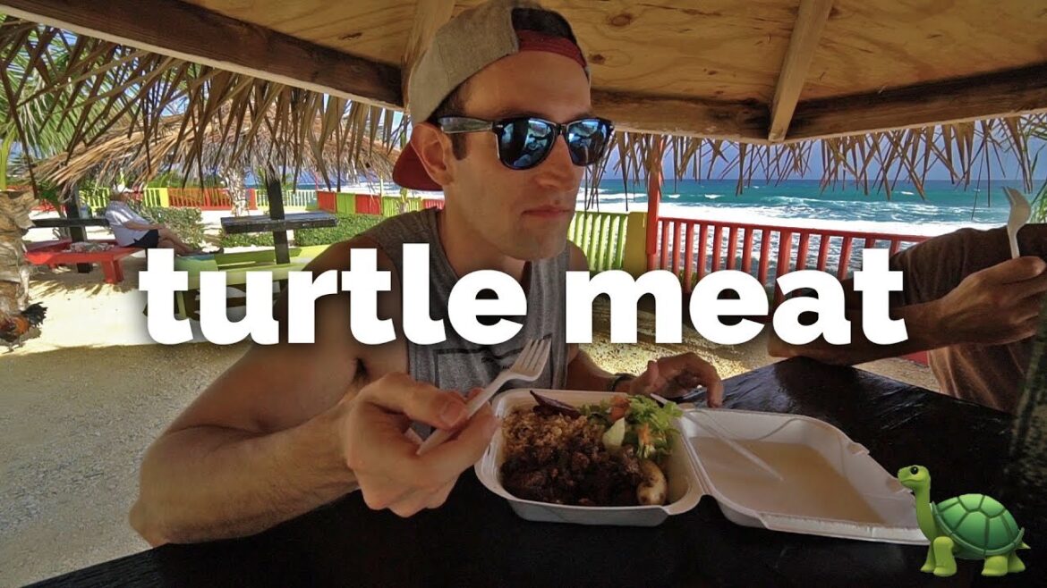 Eating Sea Turtle in Cayman