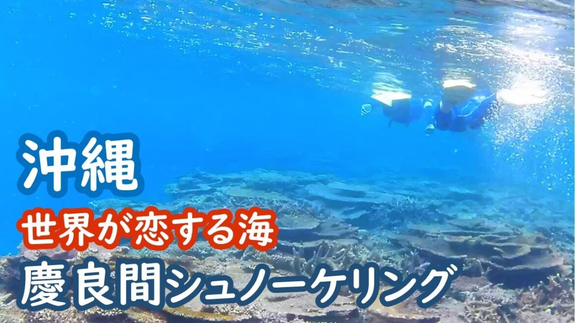沖縄 慶良間の海でシュノーケリング、珊瑚と熱帯魚を眺める snorkeling kerama okinawa【アラカン・沖縄旅】旅ログ 011 沖縄 慶良間の海でシュノーケリング、珊瑚と熱帯魚を眺める snorkeling kerama okinawa【アラカン・沖縄旅】旅ログ 011