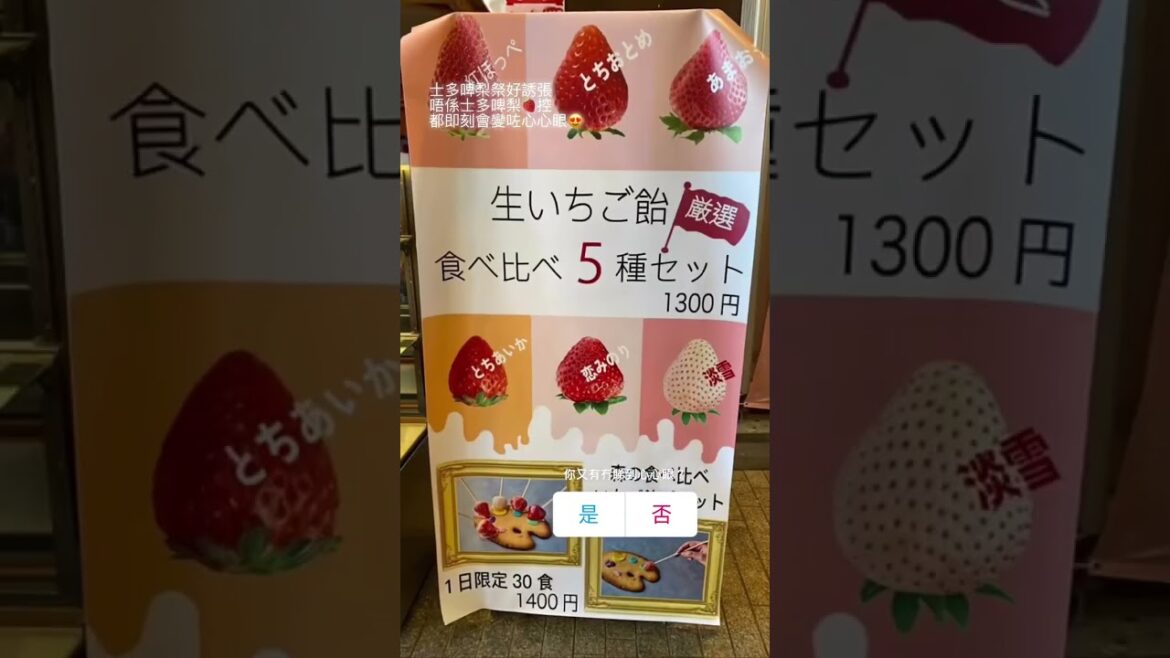 士多啤梨祭 #japan #travel #日本行程 #士多啤梨控 #紅磚倉庫 #橫濱 #yokohama #東京 #東京行程