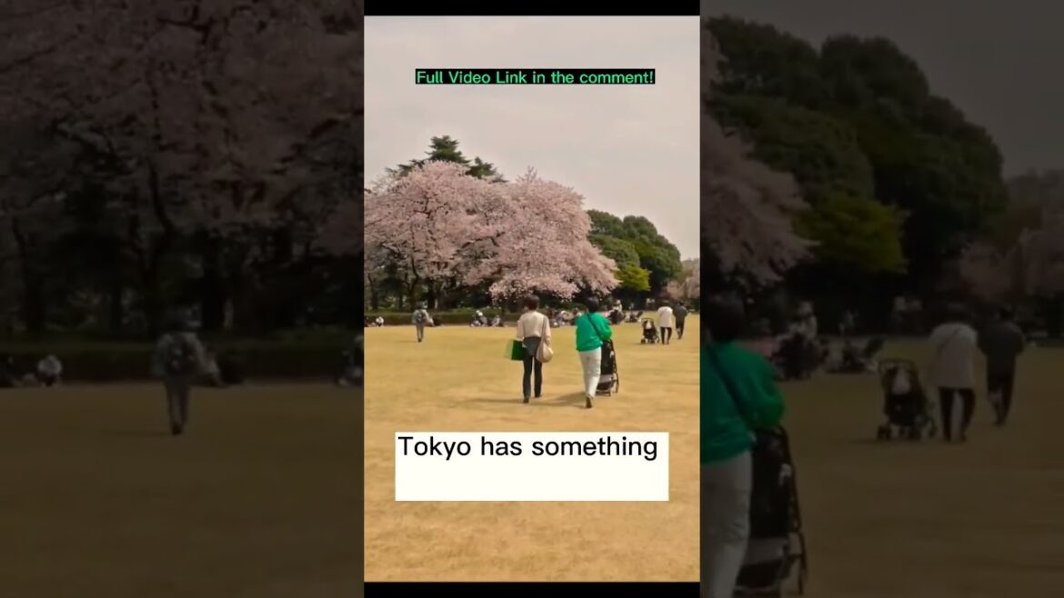 Best Place To Visit in The World, Tokyo – Travel Video #shorts Best Place To Visit in The World, Tokyo - Travel Video #shorts