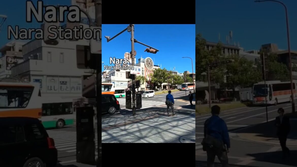 奈良駅と商店街は静かですね