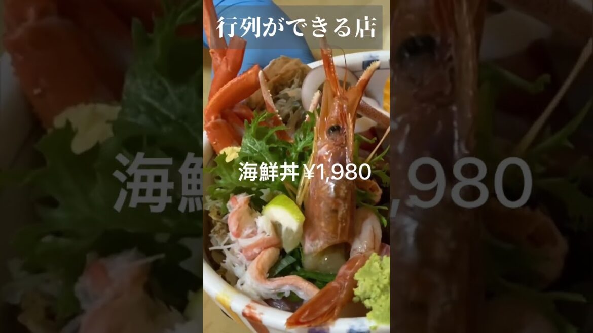 【激安海鮮丼】味処まつや!島根県松江市 #海鮮#刺身丼#shorts