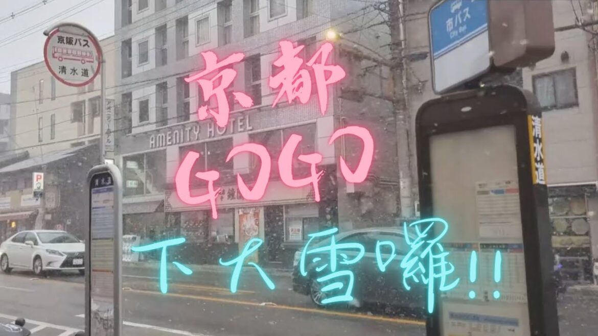 【下班ほ七逃】大阪八日自由行2023#3 出發京都各大景點~京都御苑+清水寺~讓你又拍又逛一整天! 京都/京都御苑/仙洞御所/宗像神社/白雲神社/REN璉/熊野神社/平安神宮/清水道/清水寺 【下班ほ七逃】大阪八日自由行2023#3 出發京都各大景點~京都御苑+清水寺~讓你又拍又逛一整天! 京都/京都御苑/仙洞御所/宗像神社/白雲神社/REN璉/熊野神社/平安神宮/清水道/清水寺