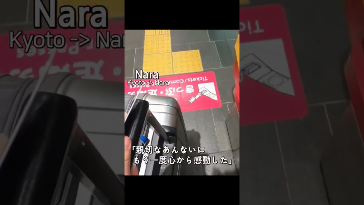 韓国男性が日本女性に伝える感謝の手紙