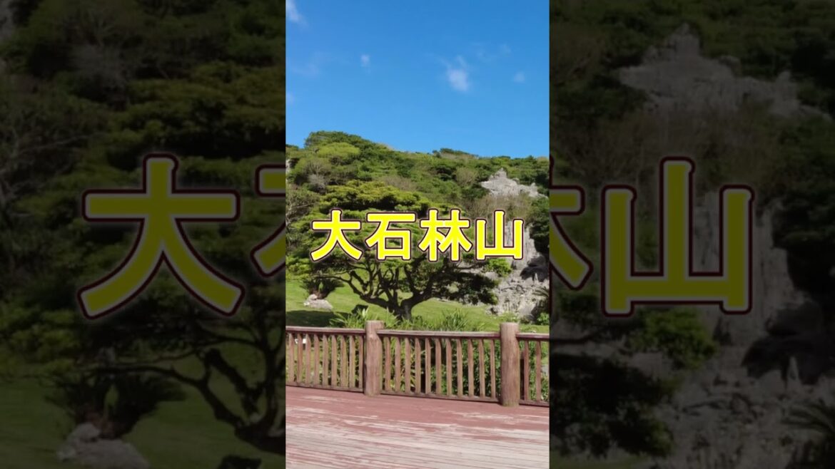 沖縄旅行 #shorts #沖縄旅行 #沖縄旅 #辺戸岬 #大石林山