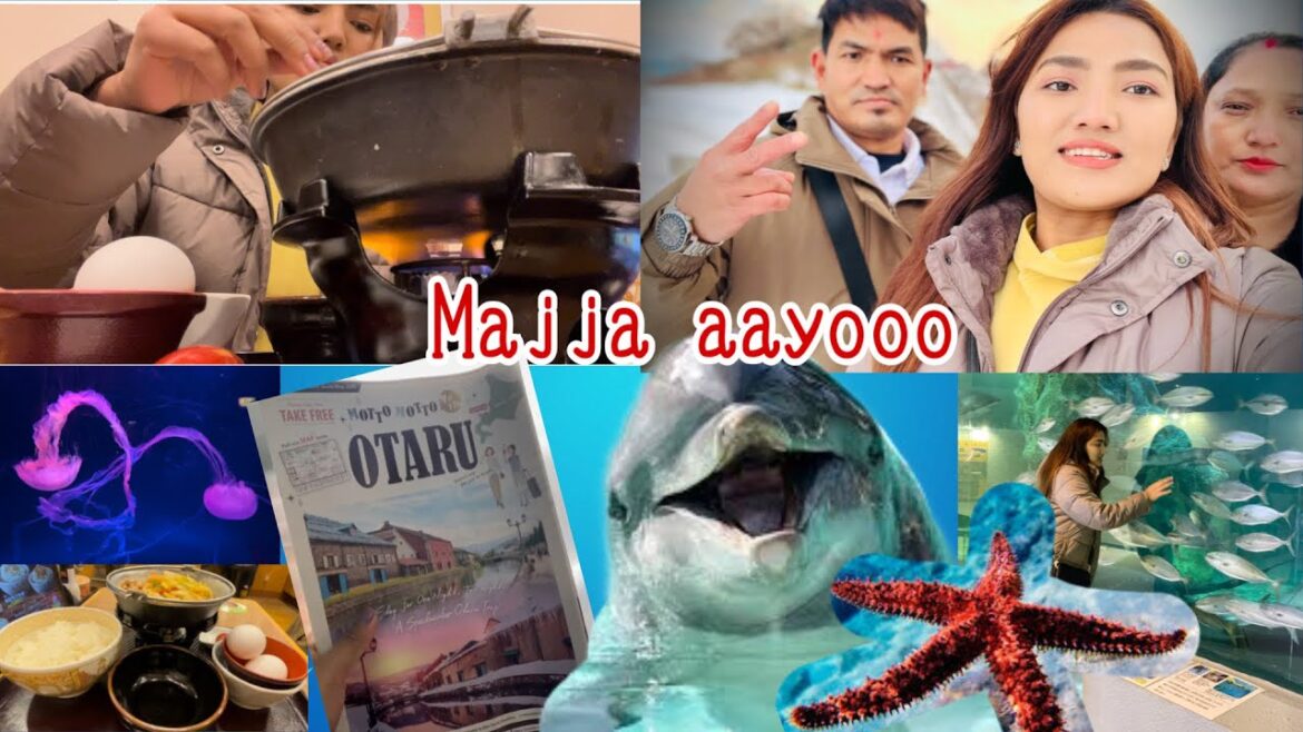 I felt jealous when fish started kissing eachother 😂 || Otaru aquarium ma majja aayo || simran vlog