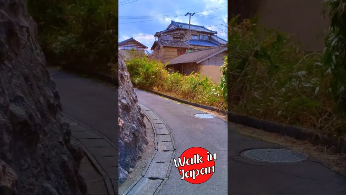 Charming Backstreet in #niigata #japan #shortsvideo #shorts