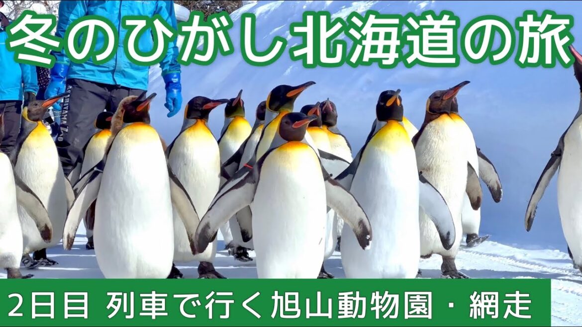 【列車で行く旭山動物園・網走】2日目 冬のひがし北海道の旅 【列車で行く旭山動物園・網走】2日目 冬のひがし北海道の旅