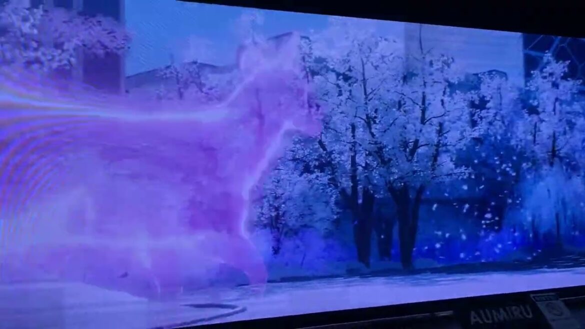 Travel, Sapporo, Hokkaido, Japan, 2023. Japan Travel