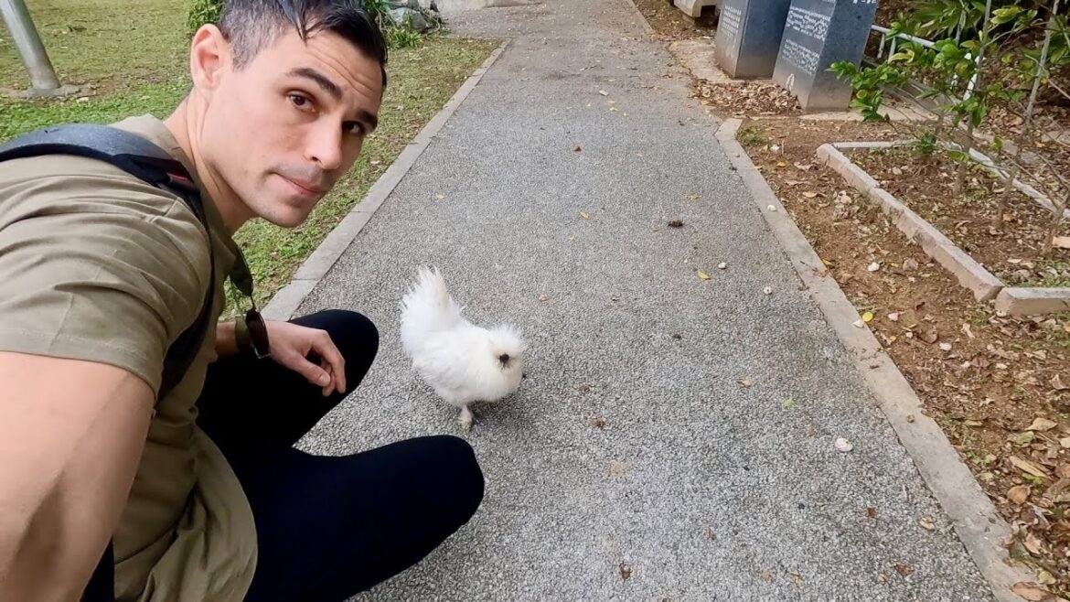 Meeting the Boss of Naha's Wildest Backstreets! 🇯🇵