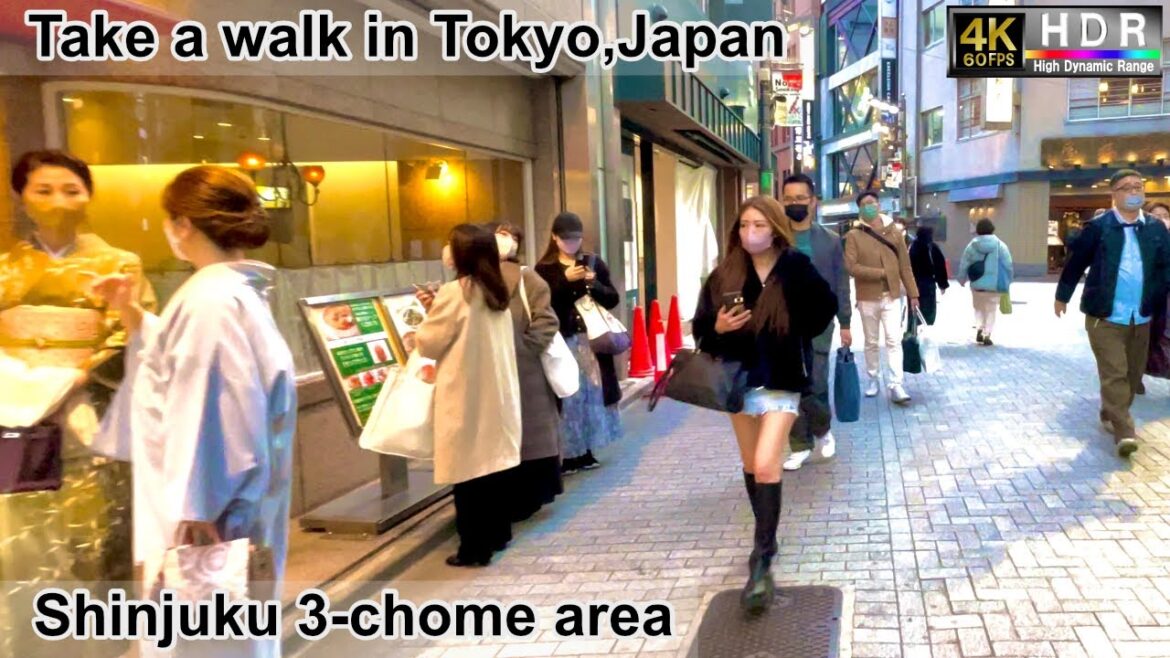 4K 60fps HDR// Take a walk in Tokyo, Japan,Shinjuku Dori Ave.→Shinjuku Sanchome Sta. area→LUMINE EST
