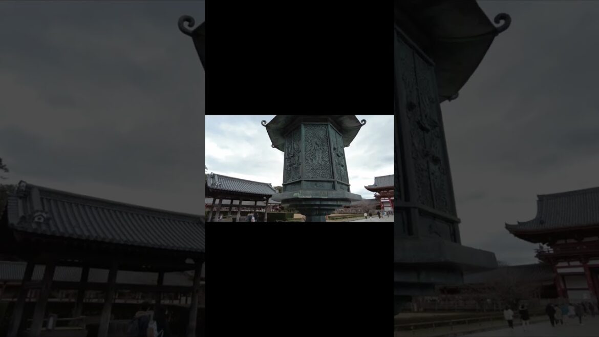 Todaiji Temple in Nara, Japan🎥 #shorts #004