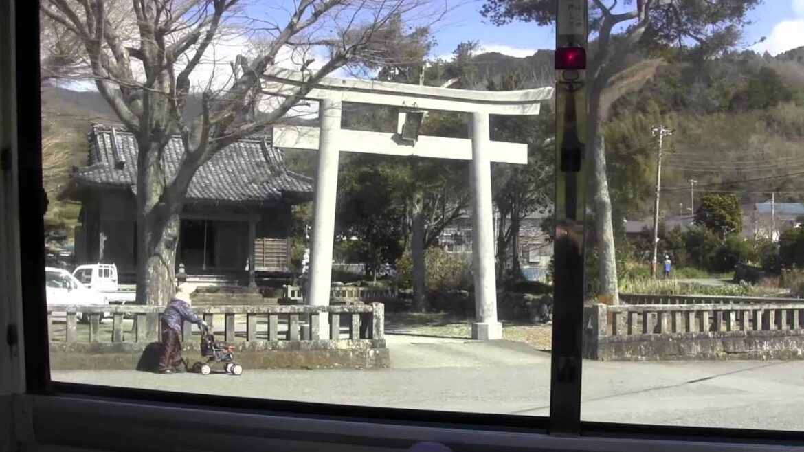 Mt Fuji 99 views part 1