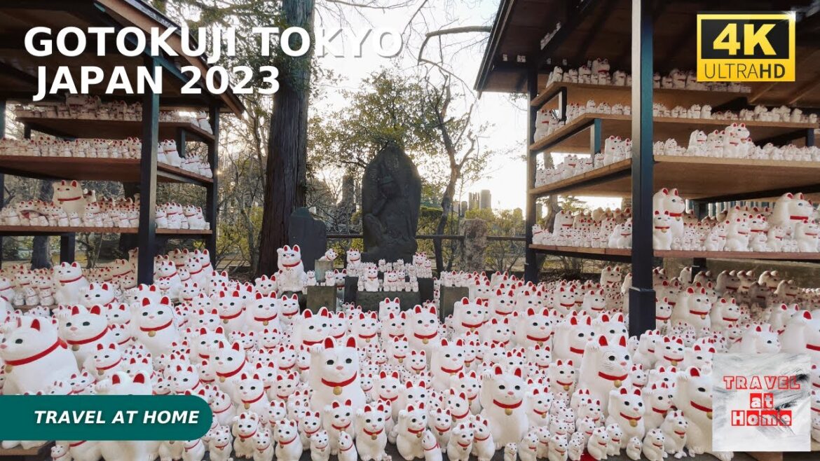 4k hdr japan travel | Walk to gotokuji Tokyo |Let's summon fortune among thousands of beckoning cats