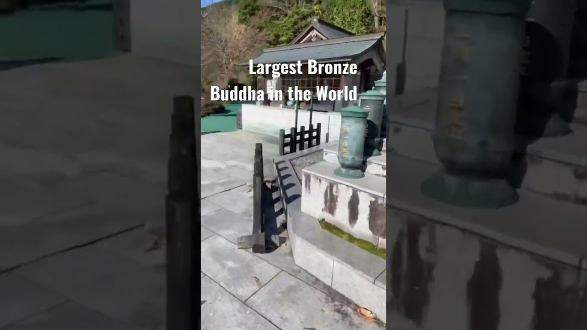 Nanzoin Temple Fukuoka Japan largest bronze buddha in the world #Nanzo #buddha #temple #japan