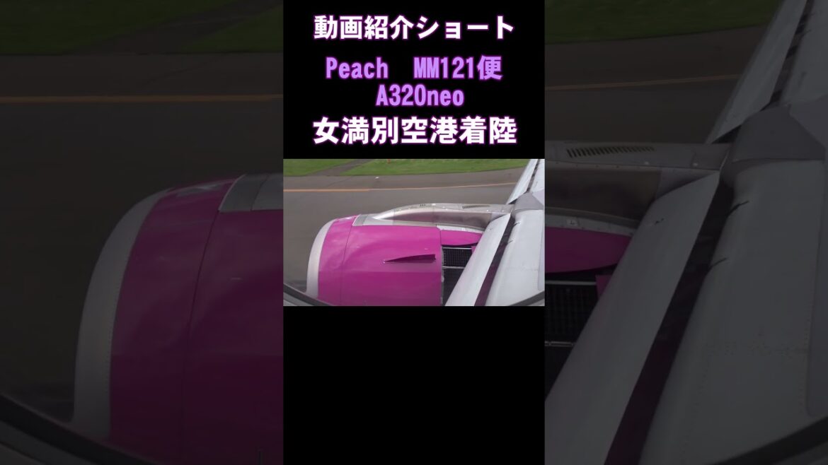 【動画紹介ショート】ピーチ121便A320neo 女満別空港着陸 【ほんまおおきに】#shorts #peach #a320neo #北海道 #hokkaido #女満別空港 #網走