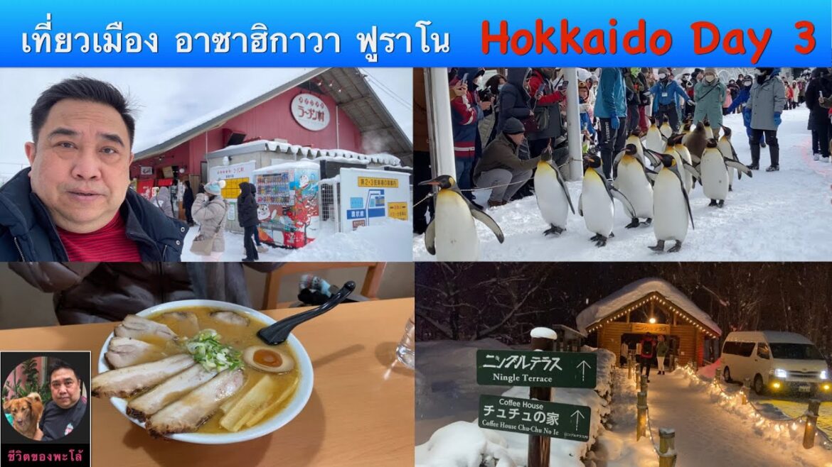Holkaido Day 3 หิมะสวยๆ แบบปุยนุ่น เมืองอาซาฮิกาวะ ฟูราโน |พะโล้ท่องเที่ยว Ep.19 #ชีวิตของพะโล้