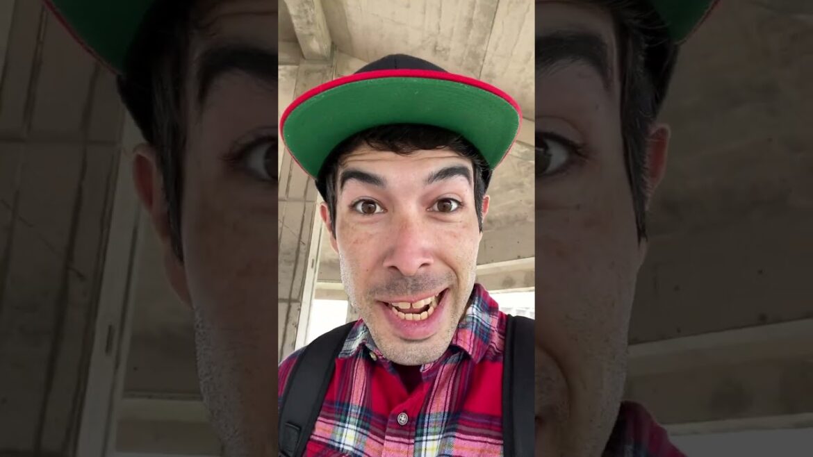 vegan vending machine (Okinawa, Japan)