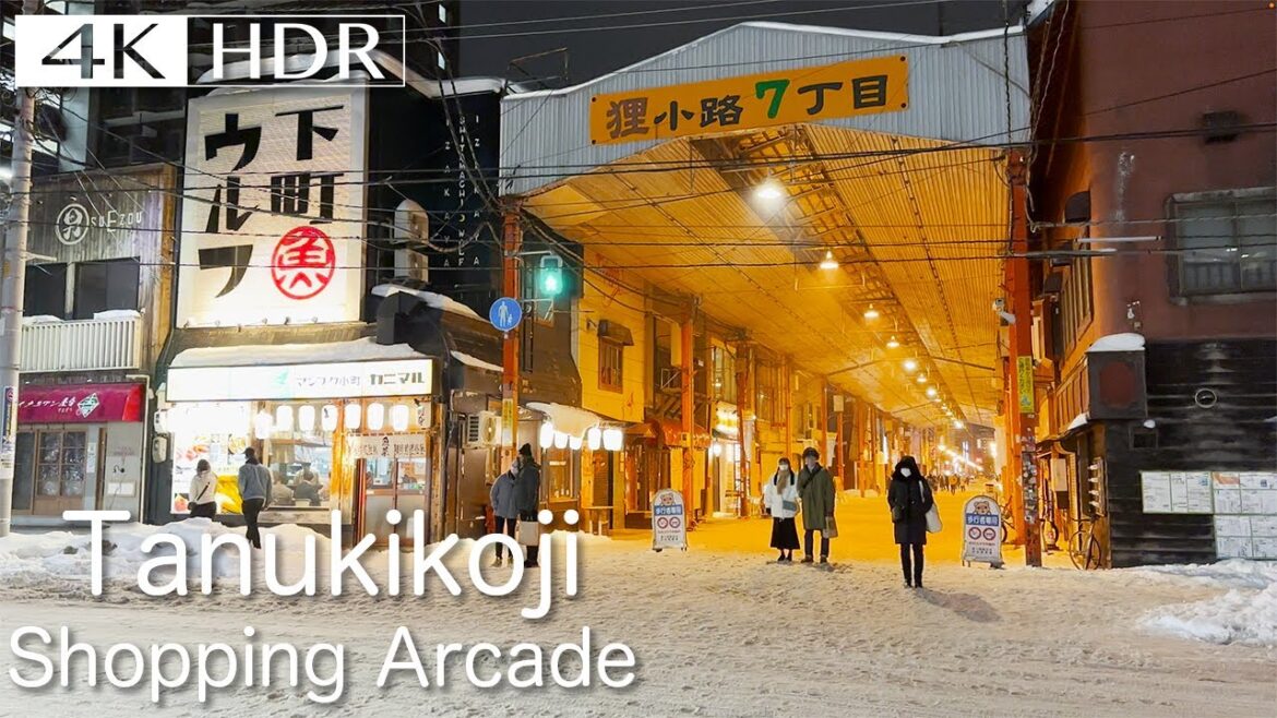 【4K HDR】狸小路商店街7丁目〜1丁目 Tanukikoji Shopping Arcade 【4K HDR】狸小路商店街7丁目〜1丁目 Tanukikoji Shopping Arcade