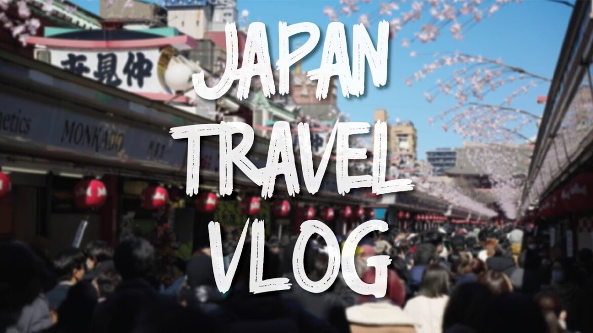 Things to do in Japan (Osaka, Tokyo) | USJ, Sanrio Puroland, Disneyland, teamLabs & more! 2023 Vlog Things to do in Japan (Osaka, Tokyo) | USJ, Sanrio Puroland, Disneyland, teamLabs & more! 2023 Vlog