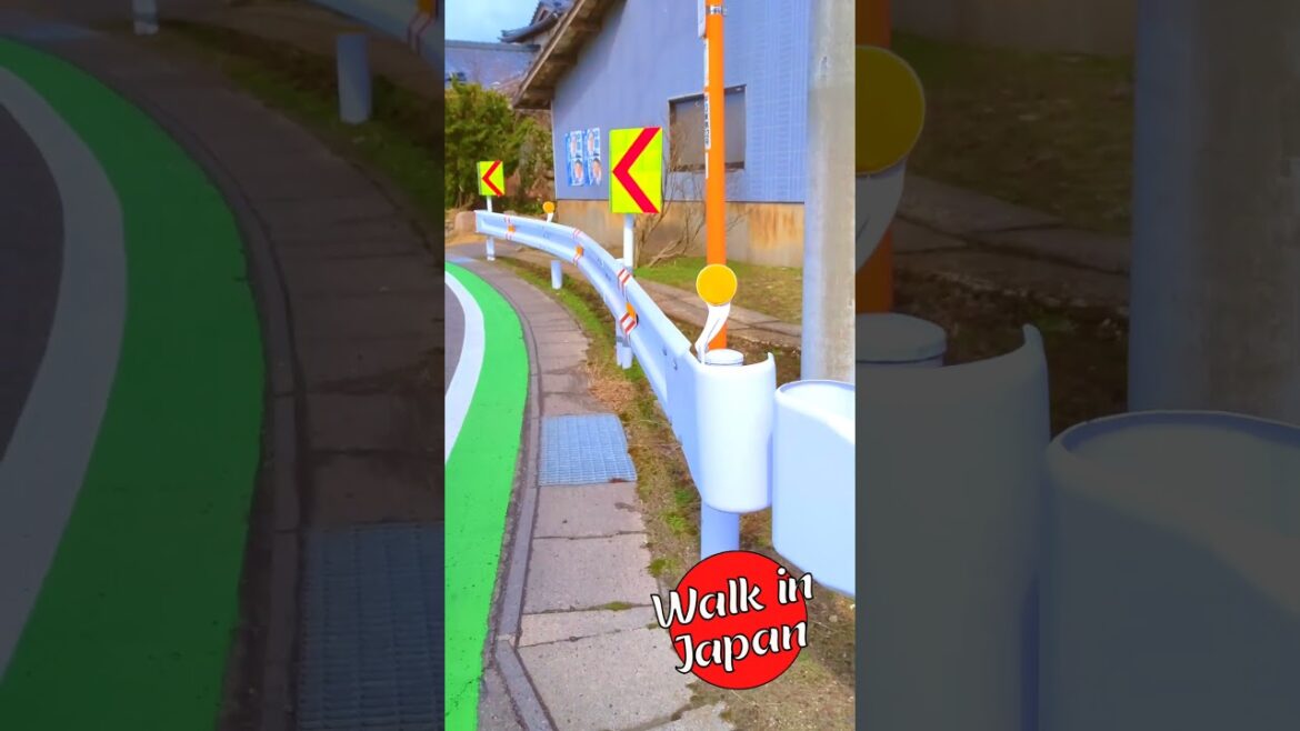 Road Guardrail and Green Pedestrian Paint #japan #shorts
