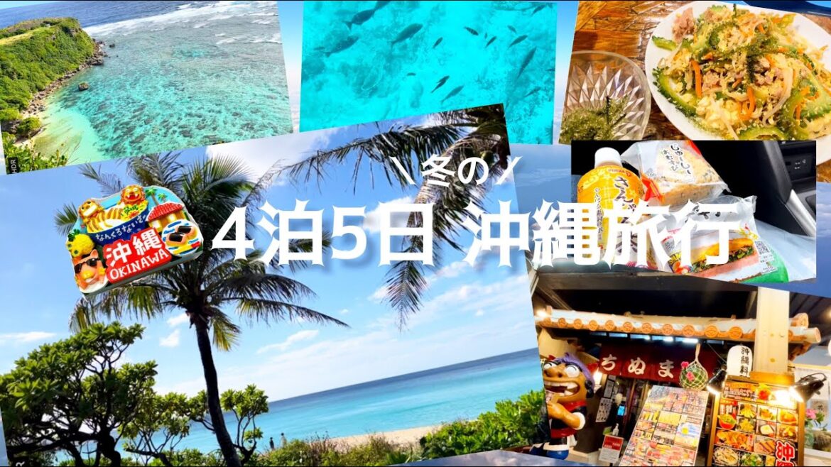 ｛沖縄｝4泊5日冬の沖縄旅行｛旅行｝
