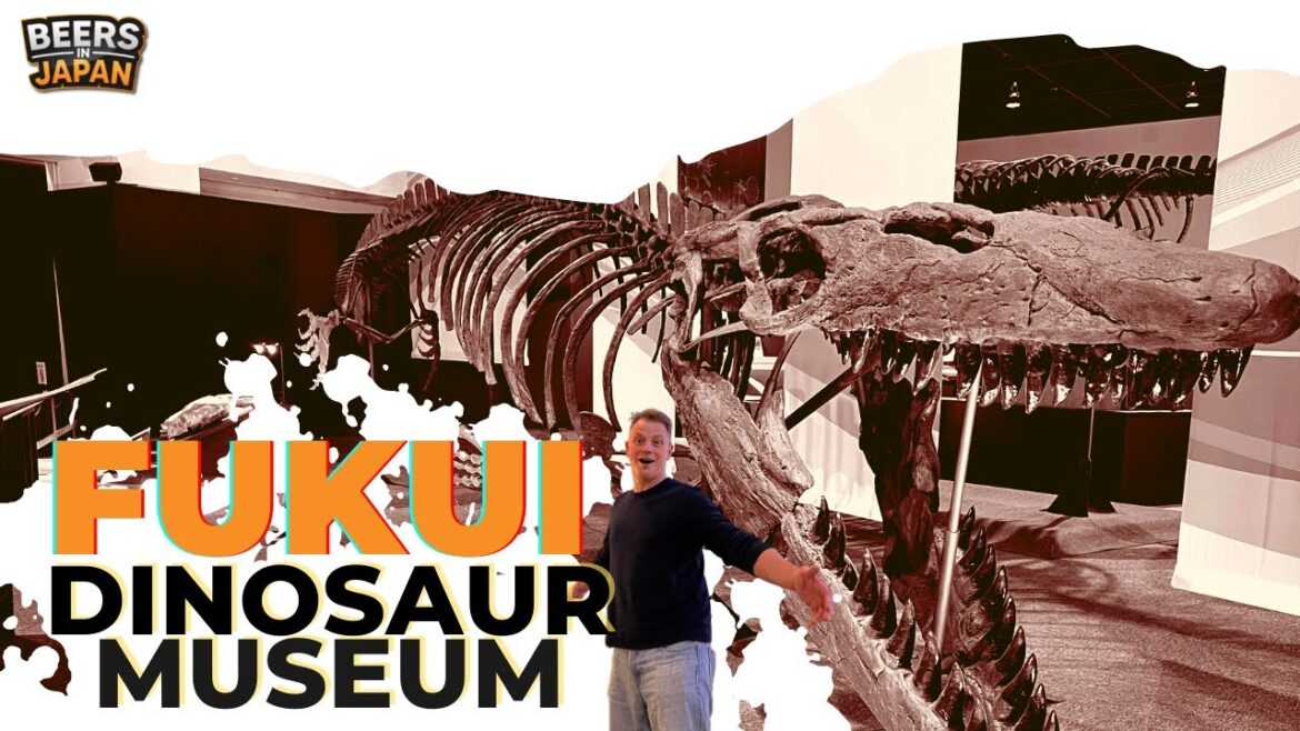 Why the Fukui Dinosaur Museum is Breathtaking! Why the Fukui Dinosaur Museum is Breathtaking!
