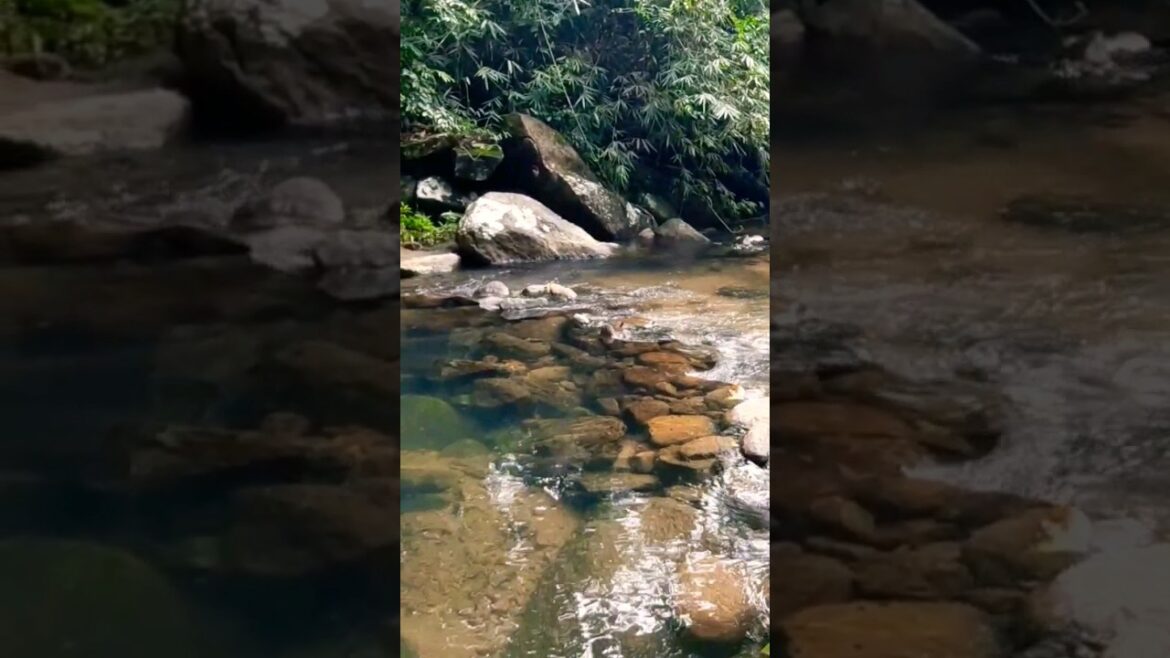 best place to travel 🏞️#japan #viral #onsen #snow #tranding #travel