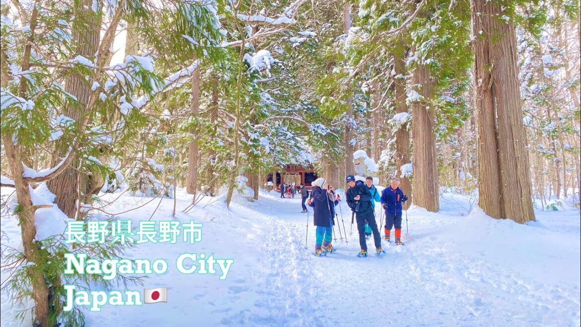 【長野市】Nagano City Promotion short Video🇯🇵