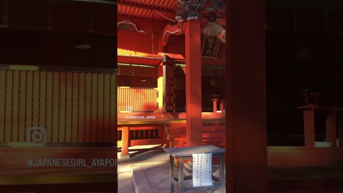 My.Fuji One day trip #mtfuji #onedaytrip #japan