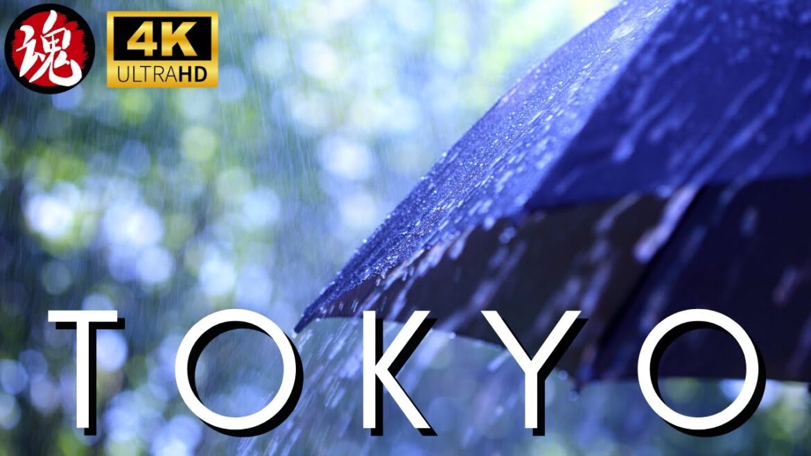 Stormy Day In Tokyo | Jiyugaoka Rain Walk | Japan