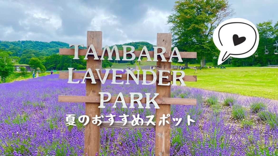 夏の涼しいお出かけスポット｜たんばらラベンダーパーク｜群馬県の避暑地。