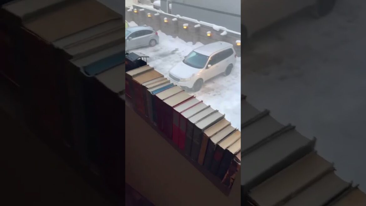 Beautiful Japanese Cafe Covered In Snow | Sapporo, JAPAN