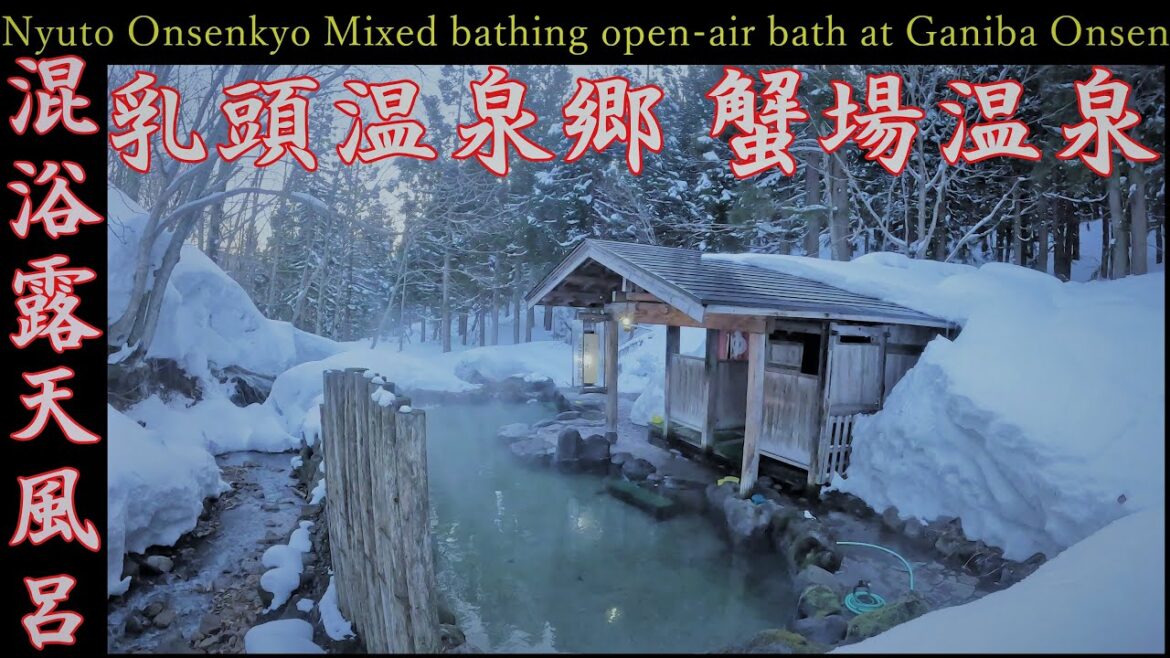 秘湯【乳頭温泉郷 蟹場温泉】雪見混浴露天風呂▽Secret hot spring [Nyuto Onsenkyo Ganiba Onsen] Mixed bathing open-air bath