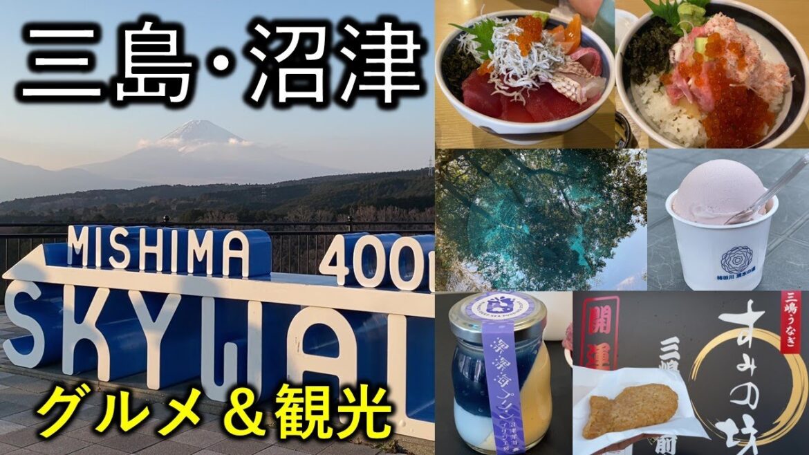 【三島･沼津】厳選グルメ＆観光 日帰り旅行
