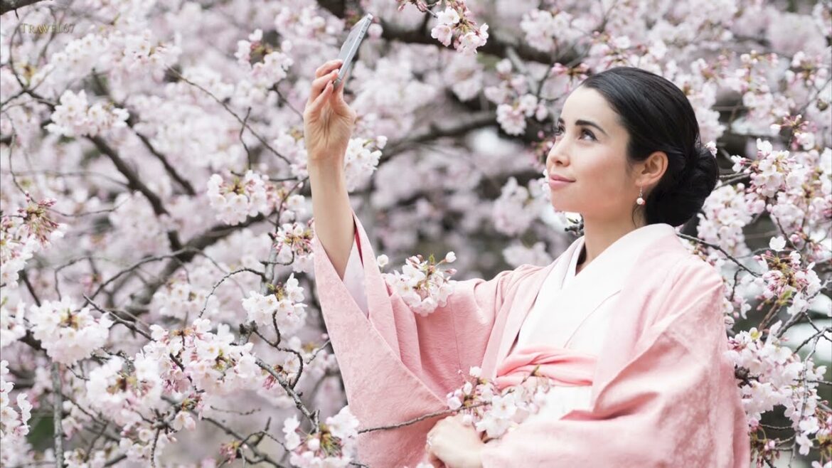 Sakura - Journey across Japan