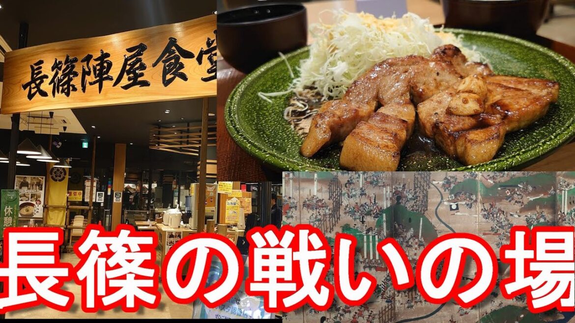 新東名高速道路!愛知県の長篠設楽原PA!『長篠の戦い』の場でトンテキ定食!織田、徳川 対 武田信玄の息子- 勝頼との戦いNagashino-PA,Shin-Tomei expressway,Japan 新東名高速道路!愛知県の長篠設楽原PA!『長篠の戦い』の場でトンテキ定食!織田、徳川 対 武田信玄の息子- 勝頼との戦いNagashino-PA,Shin-Tomei expressway,Japan