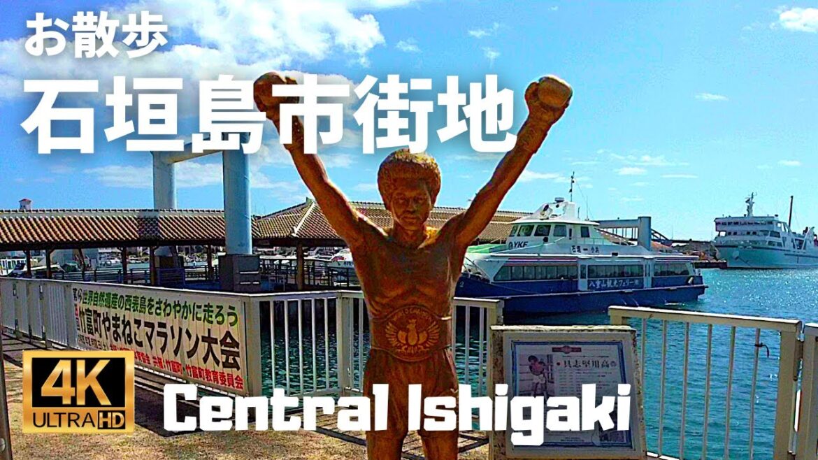 【散歩動画】石垣島市街地をお散歩　お土産物屋や飲食店が充実しており非常に便利な中心市街地です！！