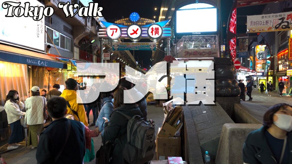【TokyoWalk】Ameyoko(アメ横) is the best place to get some street food (4K) 【TokyoWalk】Ameyoko(アメ横) is the best place to get some street food (4K)