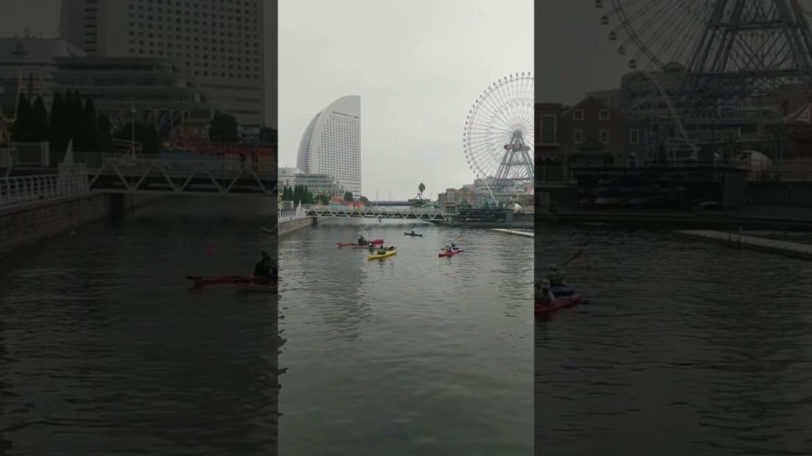 kayaking in yokohama #shorts