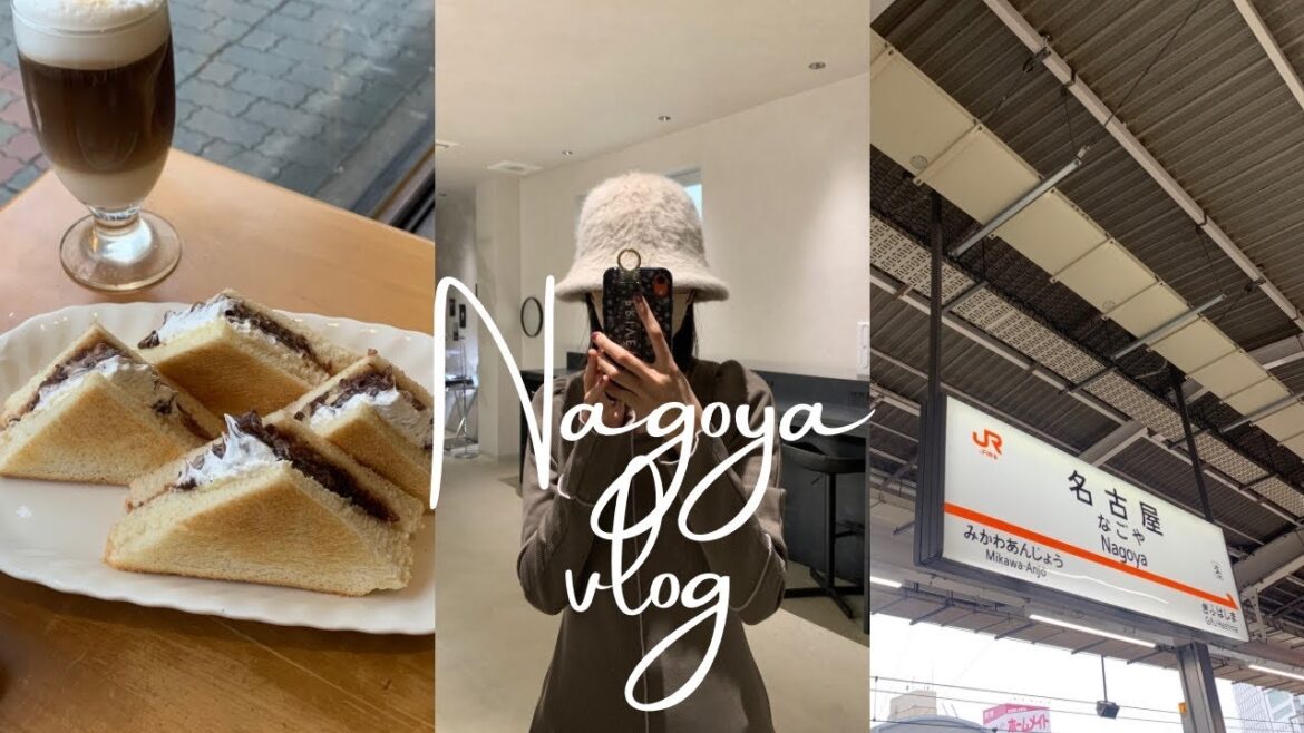 vlog🚄ひとり旅in Nagoya.名古屋旅行.手羽先ときしめんと小倉トースト.充実した愛知旅.トラジャデビューコン