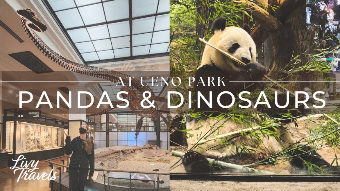 Seeing the Pandas at Ueno Park! | Japan Travel Vlog