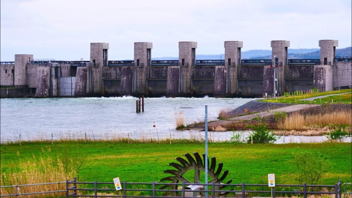 4K HDR 新潟 桜の大河津分水 Niigata,Okozu Diversion in Sakura Season